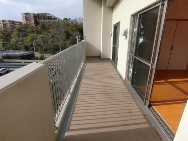 �y���В��݁zOPH�痢�����Βn�|�o���R�j�[